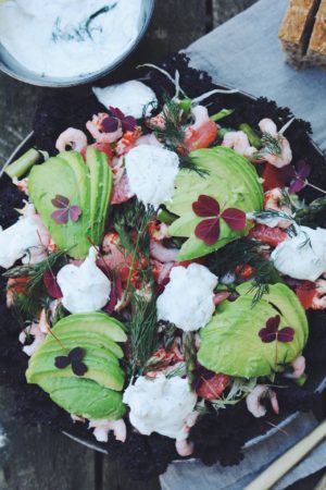 Frisk salat med skaldyr og dilddressing