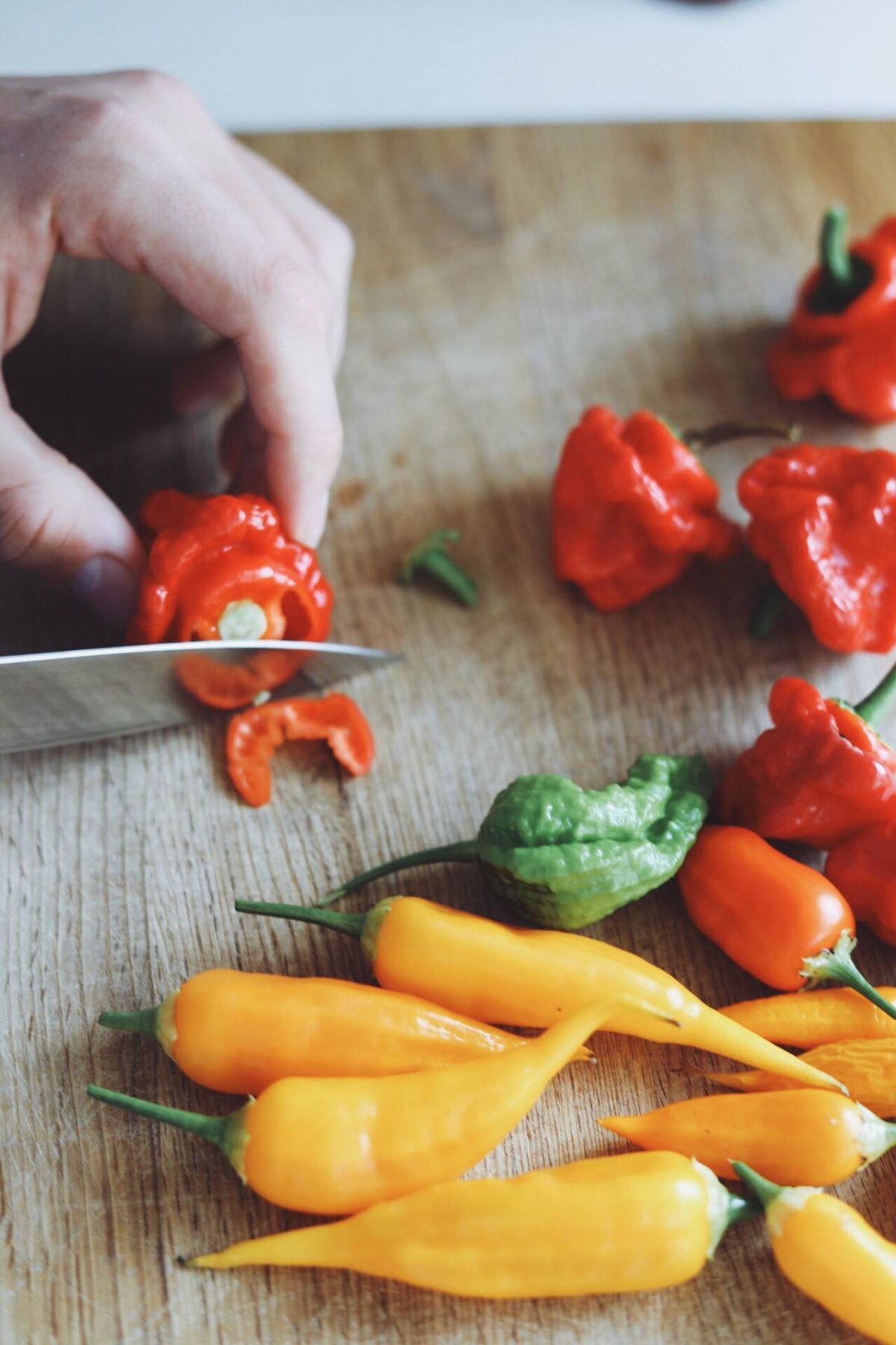 Hjemmelavet chiliolie chiliolie