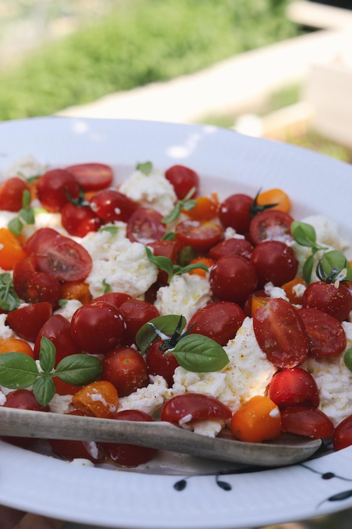 Luksus tomatsalat med cremet mozzarella - den bedste tomatsalat