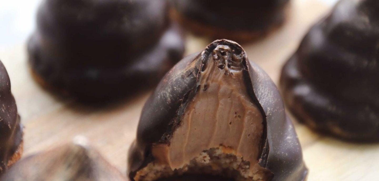 Sarah Bernhardt kager