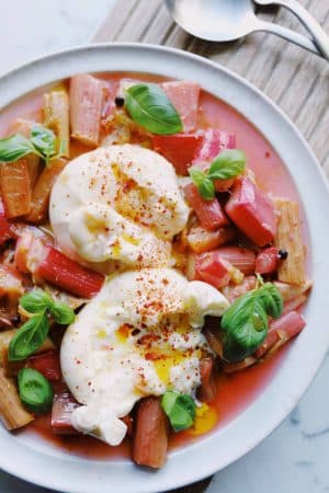 Bagte rabarber med burrata